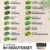 15er Kräuter Samen Set von Naturlie, 15 Sorten Küchenkräuter im Kräutersamen Set, Kräuterset und Gewürzsamen für Küche, Balkon, Garten oder Hochbeet - 4