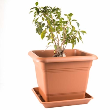 3er Set Pflanzkübel eckig und Untersetzer, 40x40 cm, Blumenkübel Blumentopf Pflanztopf, Made in Germany, Farbe: Terracotta - 5