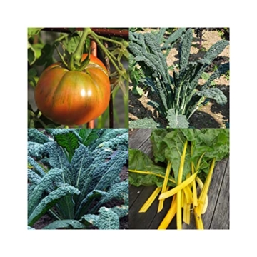 Alte historische Gemüsesorten (Bio) - Samen-Geschenkset mit 3 besonderen Gemüse-Raritäten - 9