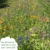 Bienenwiese Blumenmischung: 100g Premium Bienen Saatgut für bunte Bienenweide, Bienen und Hummelmagnet - bienenfreundliche Blumensamen Mischung ein- und mehrjährig - Blumenwiese Samen von OwnGrown - 3