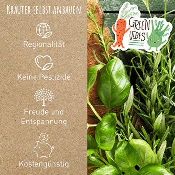 BIO Kräuter Samen Set - 14 Sorten Kräutersamen aus biologischem Anbau, samenfestes Bio Saatgut, Küchenkräuter Set für Küche, Balkon und Garten, 14er Pflanzen Samen Set - 6