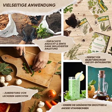 BIO Kräuter Samen Set von SeedPal | 12er Saatgut Set der beliebtesten Küchenkräuter | Dein eigener Kräutergarten für Küche oder Balkon | nachhaltiges Kräutersamen Saatgut | samenfeste Gartenkräuter - 4