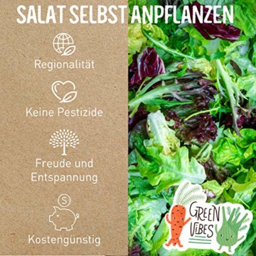 BIO Salat Samen Set - 14 Sorten Salatsamen aus biologischem Anbau I samenfestes Salat Saatgut I Bio Salat Set für Balkon, Garten und Hochbeet I 14er Saatgut Gemüse inkl. Gemüsesamen alte Sorten - 4