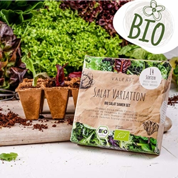 BIO Salat Samen Set - 14 Sorten Salatsamen aus biologischem Anbau I samenfestes Salat Saatgut I Bio Salat Set für Balkon, Garten und Hochbeet I 14er Saatgut Gemüse inkl. Gemüsesamen alte Sorten - 7