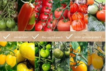 Bio Tomaten Samen Set – 12 Sorten historische und samenfeste Bio Tomatensamen aus biologischem Anbau. Bunte und alte Bio Tomaten Saatgut Sorten - ideal für Garten, Balkon und Hochbeet. - 2