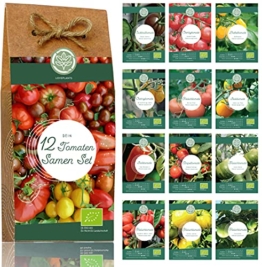 Bio Tomaten Samen Set – 12 Sorten historische und samenfeste Bio Tomatensamen aus biologischem Anbau. Bunte und alte Bio Tomaten Saatgut Sorten - ideal für Garten, Balkon und Hochbeet. - 1