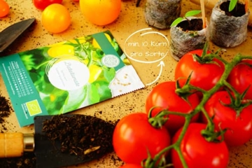 Bio Tomaten Samen Set – 12 Sorten historische und samenfeste Bio Tomatensamen aus biologischem Anbau. Bunte und alte Bio Tomaten Saatgut Sorten - ideal für Garten, Balkon und Hochbeet. - 5