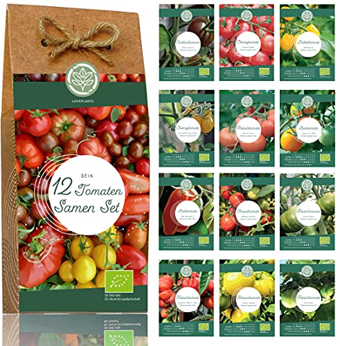 » Bio Tomaten Samen Set 12 Sorten historische und samenfeste Bio