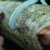 Fiskars Handpackzange zur Holzbearbeitung, Inklusive Köcher, Maulöffnung 23,5 cm, Schwarz/Orange, WoodXpert, 1003625 - 7