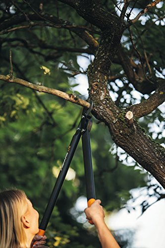 Fiskars PowerGear II Bypass-Getriebeastschere für frisches Holz, Antihaftbeschichtet, Gehärteter Präzisionsstahl, Länge: 70 cm, Schwarz/Orange, L78, 1000584 - 5