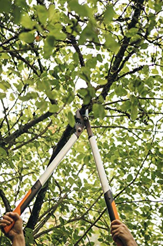 Fiskars PowerGear X Bypass-Getriebeastschere für frisches Holz, Antihaftbeschichtet, Gehärteter Präzisionsstahl, Länge: 80 cm, Schwarz/Orange, LX98-L, 1020188 - 12