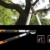 Fiskars SmartFit Bypass-Teleskop-Astschere für frisches Holz, Antihaftbeschichtet, Gehärteter Präzisionsstahl, Grifflänge: 66 bis 90 cm, Schwarz/Orange, L86, 1013564 - 7