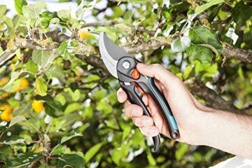 Gardena Gartenschere B/S XL: Pflanzenschonende Baumschere mit Bypass-Schneide für Äste und Zweige, max. Schneid-Durchmesser 24 mm, stufenlose Grifföffnung (8905-20) - 3