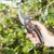 Gardena Gartenschere B/S XL: Pflanzenschonende Baumschere mit Bypass-Schneide für Äste und Zweige, max. Schneid-Durchmesser 24 mm, stufenlose Grifföffnung (8905-20) - 3