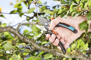 Gardena Gartenschere B/S XL: Pflanzenschonende Baumschere mit Bypass-Schneide für Äste und Zweige, max. Schneid-Durchmesser 24 mm, stufenlose Grifföffnung (8905-20) - 5