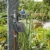 Gardena smart Water Control: Intelligenter Bewässerungscomputer mit smart App steuerbar, Frostwarnsystem, bewährte Ventiltechnik, ideal geeignet für Micro-Drip-System oder Sprinklersystem (19031-20) - 2