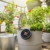 Gardena Solar-Bewässerung AquaBloom Set: Solarbetriebenes Bewässerungssystem für Balkon- und Kübelpflanzen, bis zu 4 m Höhe, Saison unabhängig (13300-20) - 4