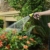 Gartenschlauch Flexibel 15m, 50FT Knickfest Expandierendes Wasserschlauch, 10-Muster-Rotationsdüse, 3/4 Zoll Kupferstecker, Schlauchhalter, Aufbewahrungstasche für Gärten - 7