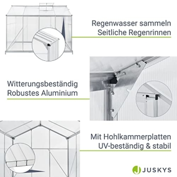 Juskys Aluminium Gewächshaus mit Fundament | 4,75 qm | 190 × 253 cm | 1 Dachfenster & Schiebetür | 4 mm Platten | Garten Treibhaus Pflanzenhaus - 5