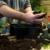Kleine Pflanztöpfe schwarz viereckig - 10 cm hoch, 9 cm breit, 20 Stück - Plastiktöpfe - Perfekt geeignet für eingetopfte Pflanzen oder zur Anzucht von Stecklingen (mehrere Größen verfügbar) - 3