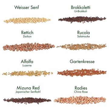 Microgreens Samen Set: 8 Sorten BIO Sprossen und Mikrogrün Saatgut im Microgreens Starter Set – Alfalfa Samen, Rucola Samen, Kresse Samen für Kresse Anzuchtschalen uvm – Sprossen Samen von OwnGrown - 2