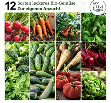 Nachhaltiges BIO Gemüsesamen Set - 12 Sorten BIO Gemüse Samen, 100% Natürlich, extra viele Samen - BIO Saatgut Gemüse zum Anbauen im Garten Hochbeet - Gurke, Karotten, Salat & mehr Samen Gemüse - 3