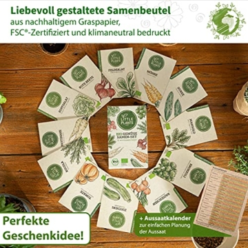 Nachhaltiges BIO Gemüsesamen Set - 12 Sorten BIO Gemüse Samen, 100% Natürlich, extra viele Samen - BIO Saatgut Gemüse zum Anbauen im Garten Hochbeet - Gurke, Karotten, Salat & mehr Samen Gemüse - 5