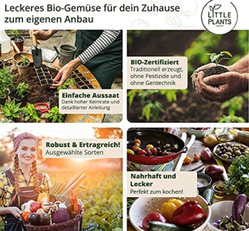 Nachhaltiges BIO Gemüsesamen Set - 12 Sorten BIO Gemüse Samen, 100% Natürlich, extra viele Samen - BIO Saatgut Gemüse zum Anbauen im Garten Hochbeet - Gurke, Karotten, Salat & mehr Samen Gemüse - 6