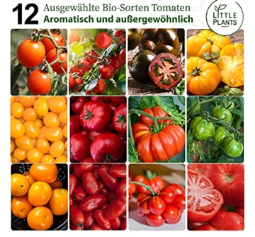 Nachhaltiges BIO Tomatensamen Set - 12 Sorten BIO Tomaten Samen, 100% Natürlich, Samenfestes Saatgut - BIO Tomatensamen Alte Sorten zum Anbauen im Garten oder Hochbeet, Nachhaltig Verpackt - 2