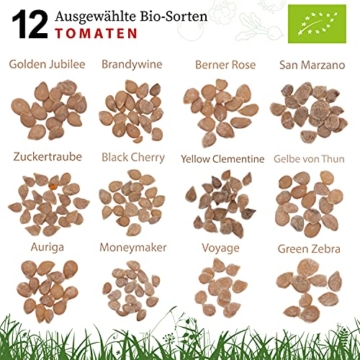 Nachhaltiges BIO Tomatensamen Set - 12 Sorten BIO Tomaten Samen, 100% Natürlich, Samenfestes Saatgut - BIO Tomatensamen Alte Sorten zum Anbauen im Garten oder Hochbeet, Nachhaltig Verpackt - 3