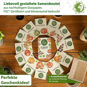 Nachhaltiges BIO Tomatensamen Set - 12 Sorten BIO Tomaten Samen, 100% Natürlich, Samenfestes Saatgut - BIO Tomatensamen Alte Sorten zum Anbauen im Garten oder Hochbeet, Nachhaltig Verpackt - 4