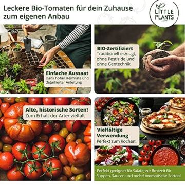 Nachhaltiges BIO Tomatensamen Set - 12 Sorten BIO Tomaten Samen, 100% Natürlich, Samenfestes Saatgut - BIO Tomatensamen Alte Sorten zum Anbauen im Garten oder Hochbeet, Nachhaltig Verpackt - 6