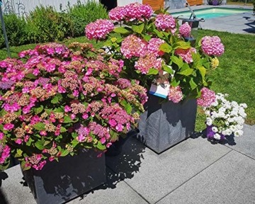 Ondis24 Pflanzkübel Vulkan Pierre 50, Blumentopf 50 x 50 cm, Garten Blumenkübel, Schiefer Optik Pflanzkübel mit Wasserspeicher, Pflanzenkasten hoch, Winterfest - 3