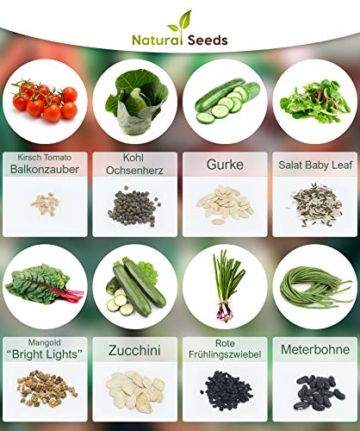 Prademir Gemüse Samen Set - 16 Gemüse Sorten aus Portugal | 100% Natur Saat (Keine Chemie, Gentechnik, künstliche Wachstums-Helfer) - 3