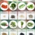 Prademir Gemüse Samen Set - 16 Gemüse Sorten aus Portugal | 100% Natur Saat (Keine Chemie, Gentechnik, künstliche Wachstums-Helfer) - 3