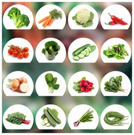 Prademir Gemüse Samen Set - 16 Gemüse Sorten aus Portugal | 100% Natur Saat (Keine Chemie, Gentechnik, künstliche Wachstums-Helfer) - 1