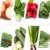 Prademir Gemüse Samen Set - 16 Gemüse Sorten aus Portugal | 100% Natur Saat (Keine Chemie, Gentechnik, künstliche Wachstums-Helfer) - 5
