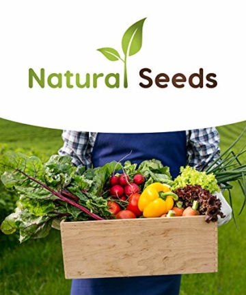 Prademir Gemüse Samen Set - 16 Gemüse Sorten aus Portugal | 100% Natur Saat (Keine Chemie, Gentechnik, künstliche Wachstums-Helfer) - 6