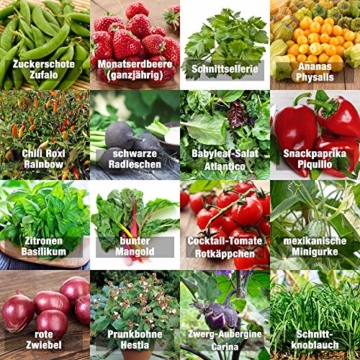 Samen Gemüse Set"indoor-Mix" - perfektes Saatgut (100% Natursamen) für Balkon, Gewächshaus, Wohnung, Terasse, Fensterbank - nahezu 100% Keimrate - 1