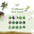 Samenaufzucht Box von Garden Pack – 100 Sorten Blumensamen, Kräutergarten Samen, Gemüsesamen – Holzkiste Geschenkset - Zubehör - 4